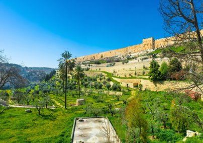 The New Wonders of Israel, Jordan and Egypt 11 Day Tour